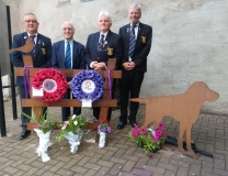 Purple-Poppy-Day-3