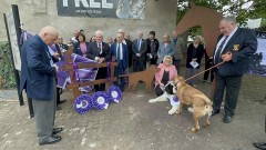 Purple_Poppy_Day_2023_7