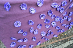 DSCN2763